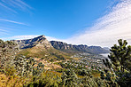 Table Mountain and the welve apostles