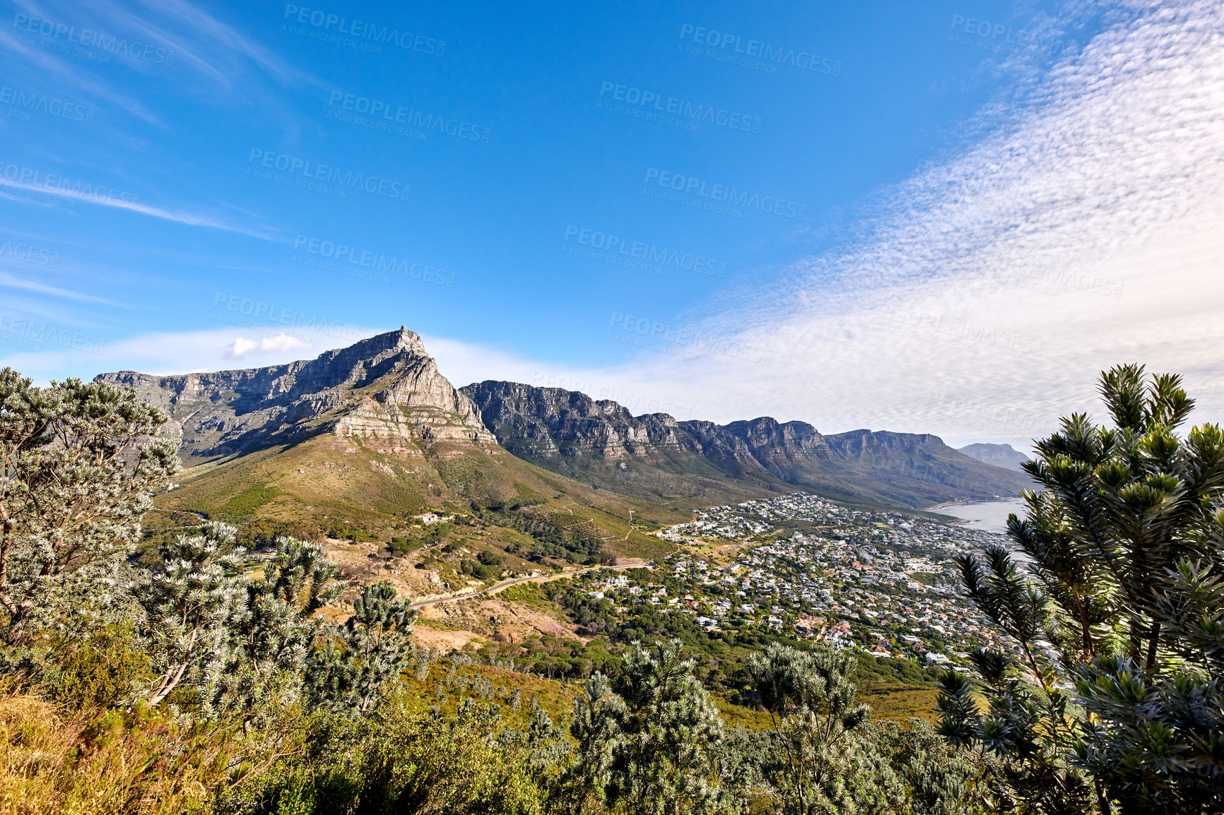 Buy stock photo Landscape of mountains background from lush, green botanical garden forest overlooking a coastal city. Above view of Table Mountain national park in Cape Town, South Africa, blue sky and copy space