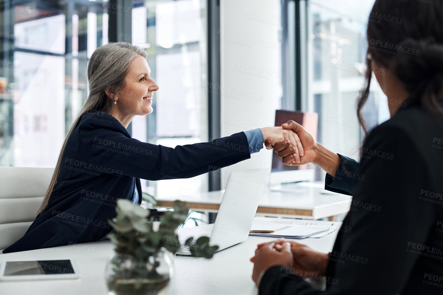 Buy stock photo Handshake, people and clients in office for welcome, greeting and thank you with business deal. Shaking hands, trust and hello for financial advice in workplace meeting with laptop and mature woman