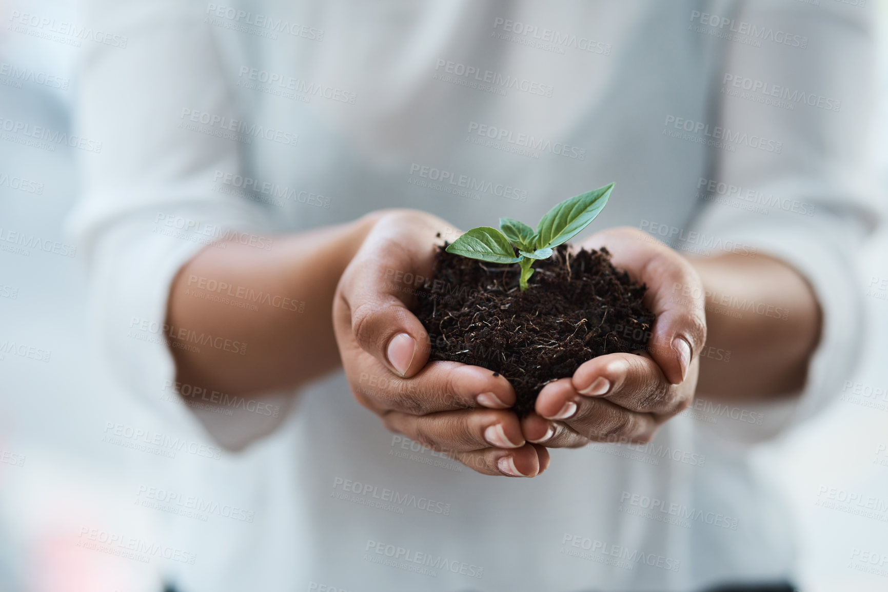 Buy stock photo Cropped shot of an unrecognizable businesswoman holding a plant growing out of soil