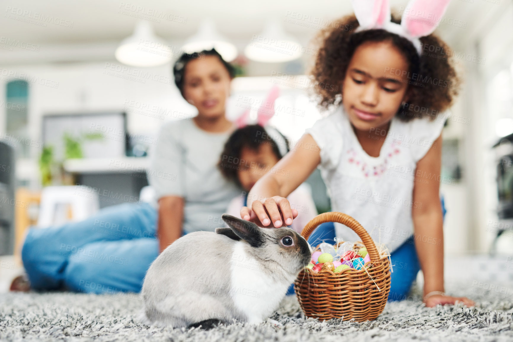 Buy stock photo Shot of a little girl playing with a rabbit at home