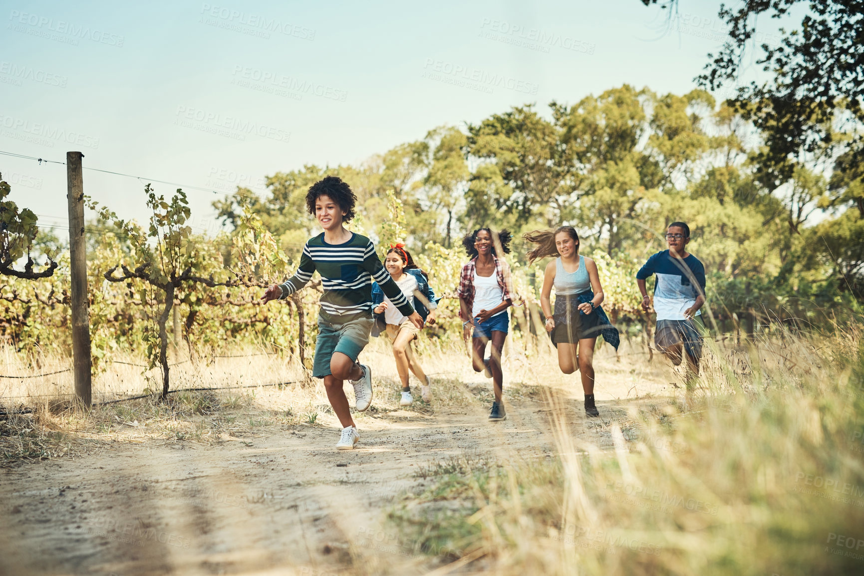 Buy stock photo Shot of a group of teenagers running through nature at summer camp