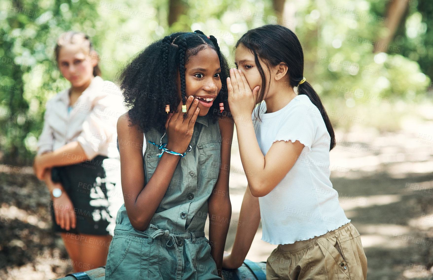 Buy stock photo Shot of two teenage girls gossiping about their friend at summer camp