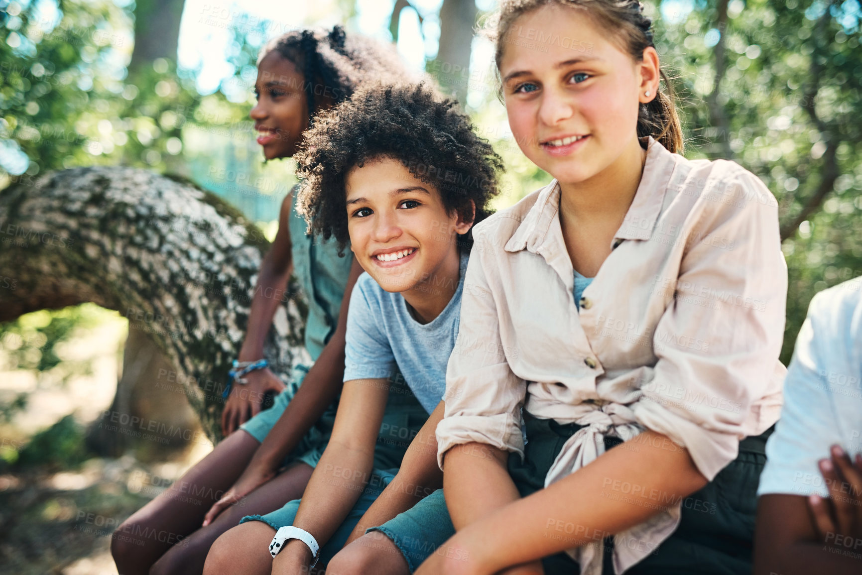 Buy stock photo Shot of a group of teenagers sitting on a tree trunk at summer camp