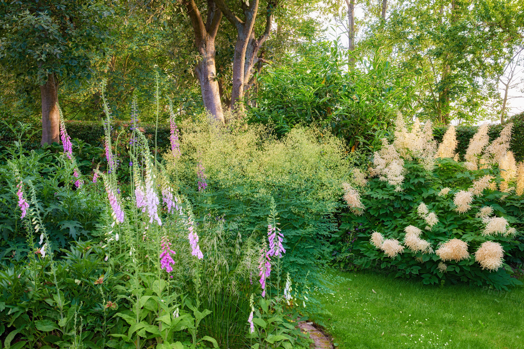 Buy stock photo Beautiful mixed garden of flowers and trees. A variety of different natural plants in nature in the day. Magical, scenic cultivated lawn in a home garden. Various floral species together in nature

