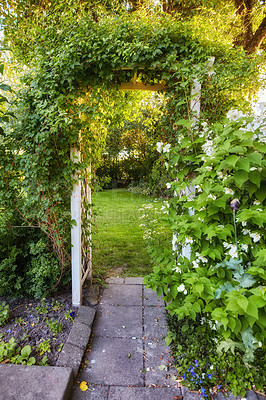 Buy stock photo Big outside door in nature to beautiful garden. Decorative neglected arched iron entrance to grass, plants, stone, lush greenery and trees. Busy over grown path with entangled roots on a sunny day.