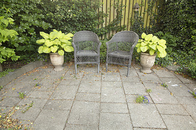 Buy stock photo A beautiful lush green garden with two and chairs in a backyard on a sunny day. Vibrant patio with scenic views of nature in a peaceful, tranquil spot. Venue for a zen picnic or lunch date 