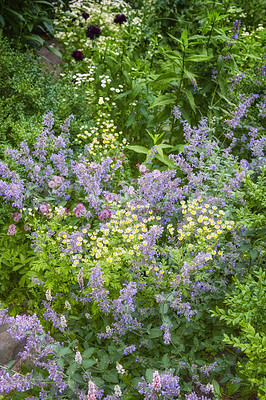 Buy stock photo A series of beautiful garden photos