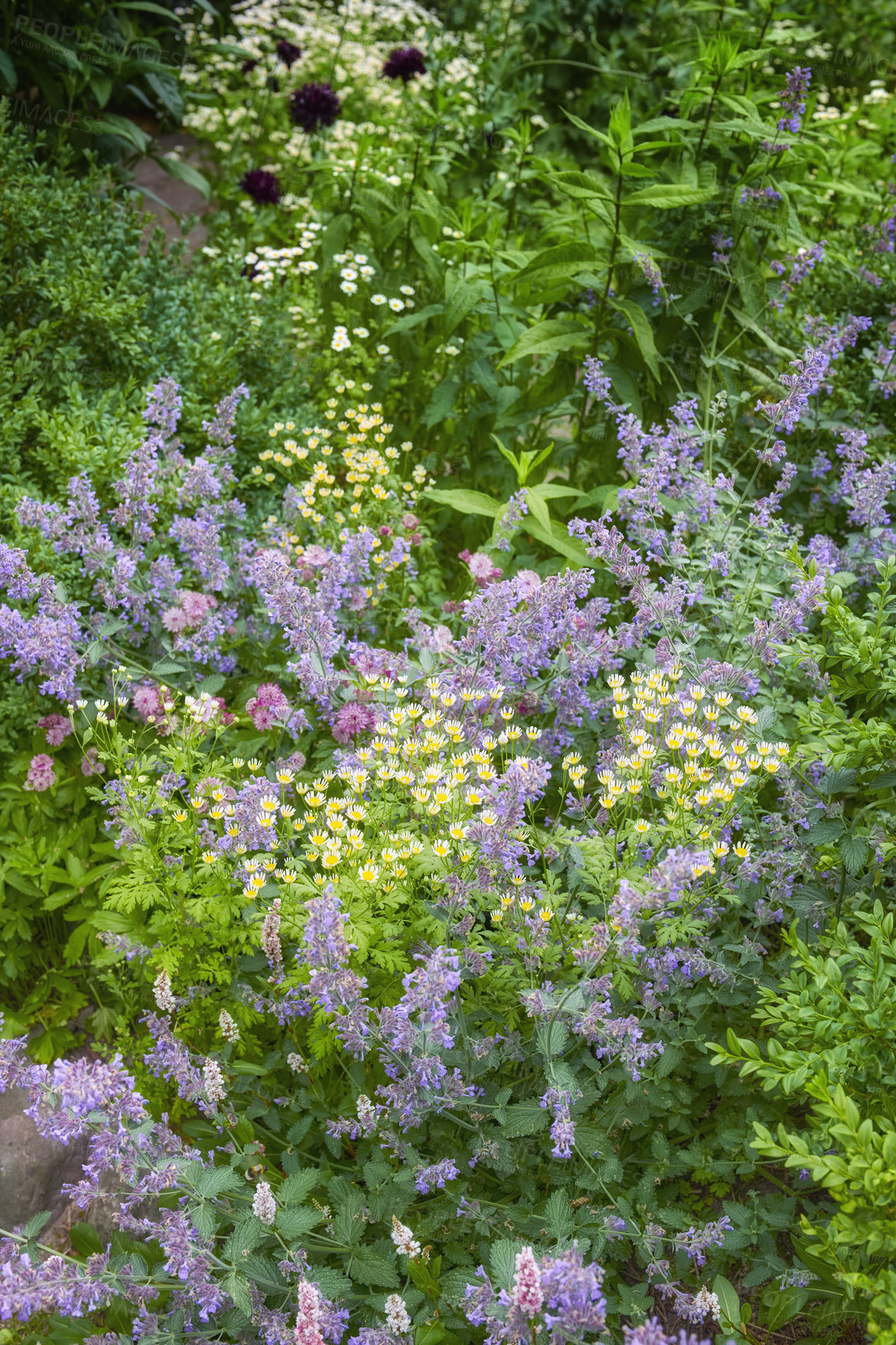 Buy stock photo A series of beautiful garden photos