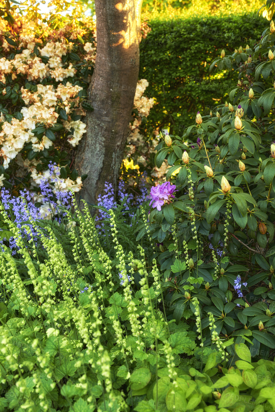 Buy stock photo A series of beautiful garden photos