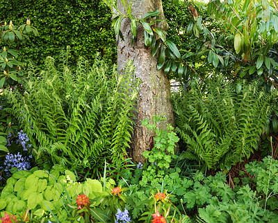 Buy stock photo A series of beautiful garden photos