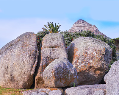 Buy stock photo Big sedimentary rocks in front of flower trees and plants in nature on a sunny day in Spring or Summer. Scenic view of stone wall on grass with a mountain top or peak and blue sky in the background. 