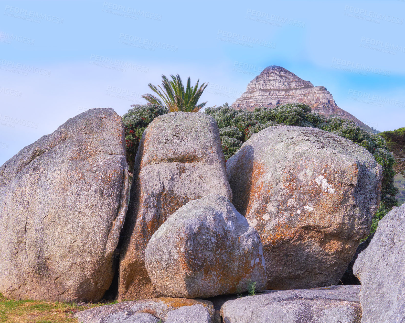 Buy stock photo Big sedimentary rocks in front of flower trees and plants in nature on a sunny day in Spring or Summer. Scenic view of stone wall on grass with a mountain top or peak and blue sky in the background. 