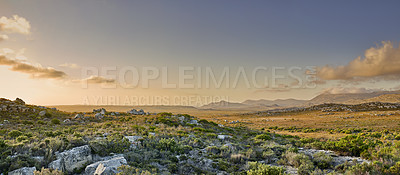 Buy stock photo The wilderness of Cape Point National Park, Western Cape, South Africa