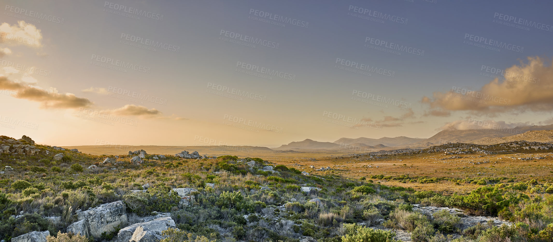 Buy stock photo The wilderness of Cape Point National Park, Western Cape, South Africa