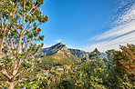 Table Mountain National Park