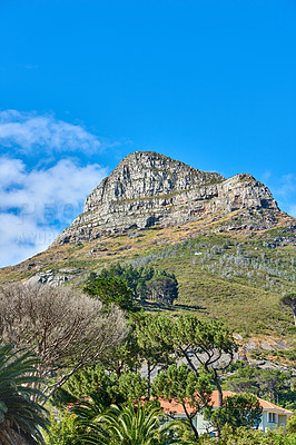 Buy stock photo Beautiful landscape of Lions Head mountain and surrounding green trees and grass with bright blue sky. Stunning close up detail of mountain with copy space during summer in Cape Town, South Africa