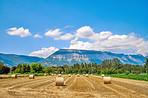 Countryside, farmland and forest - close to Lyon, France