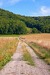 Countryside, farmland and forest - close to Lyon, France