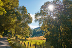 Countryside, farmland and forest - close to Lyon, France