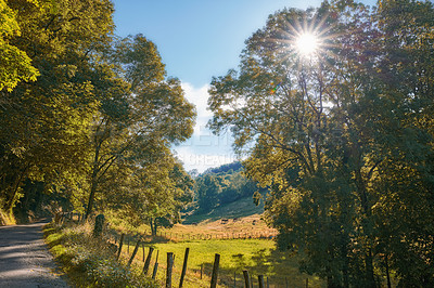 Buy stock photo Rural farm land with quiet street through dense trees in the green countryside near a road on sunny day in France. Quiet nature landscape of woods and field on an empty path near Lyon