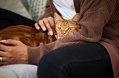 Buy stock photo Shot of a young woman bonding with her cat while sitting at home