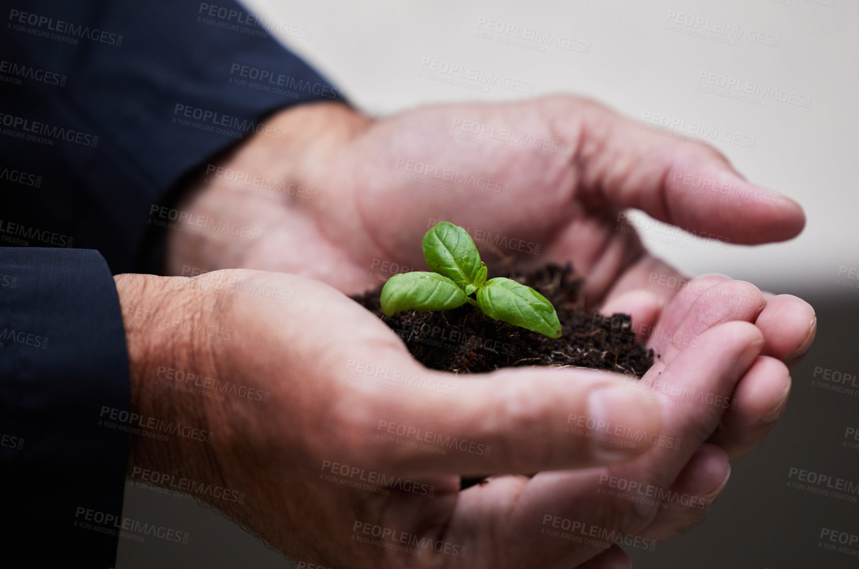 Buy stock photo Hands, seedling and plant with soil for growth, startup or company for future investment. Entrepreneurship, sustainability or earth day for accountability, hope or agriculture for environment support