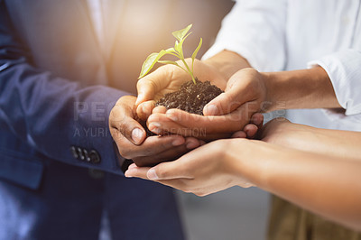 Buy stock photo .Shot of a group of unrecognizable businesspeople holding a plant growing out of soil
