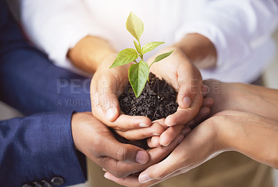 Buy stock photo .Shot of a group of unrecognizable businesspeople holding a plant growing out of soil