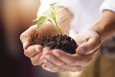 Buy stock photo .Shot of an unrecognizable 
man holding a plant growing out of soil
