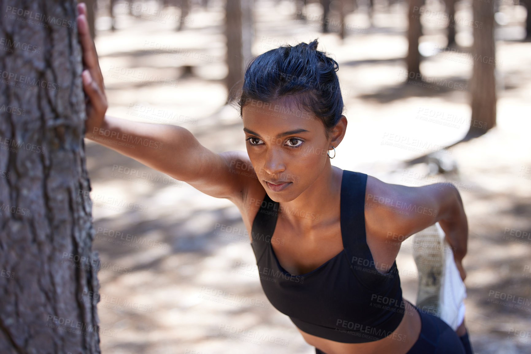 Buy stock photo Exercise, tree and woman in forest, serious and outdoor for stretching, nature and healthy with wellness. Training, performance and Indian person, girl and strong in weekend, fitness and sports