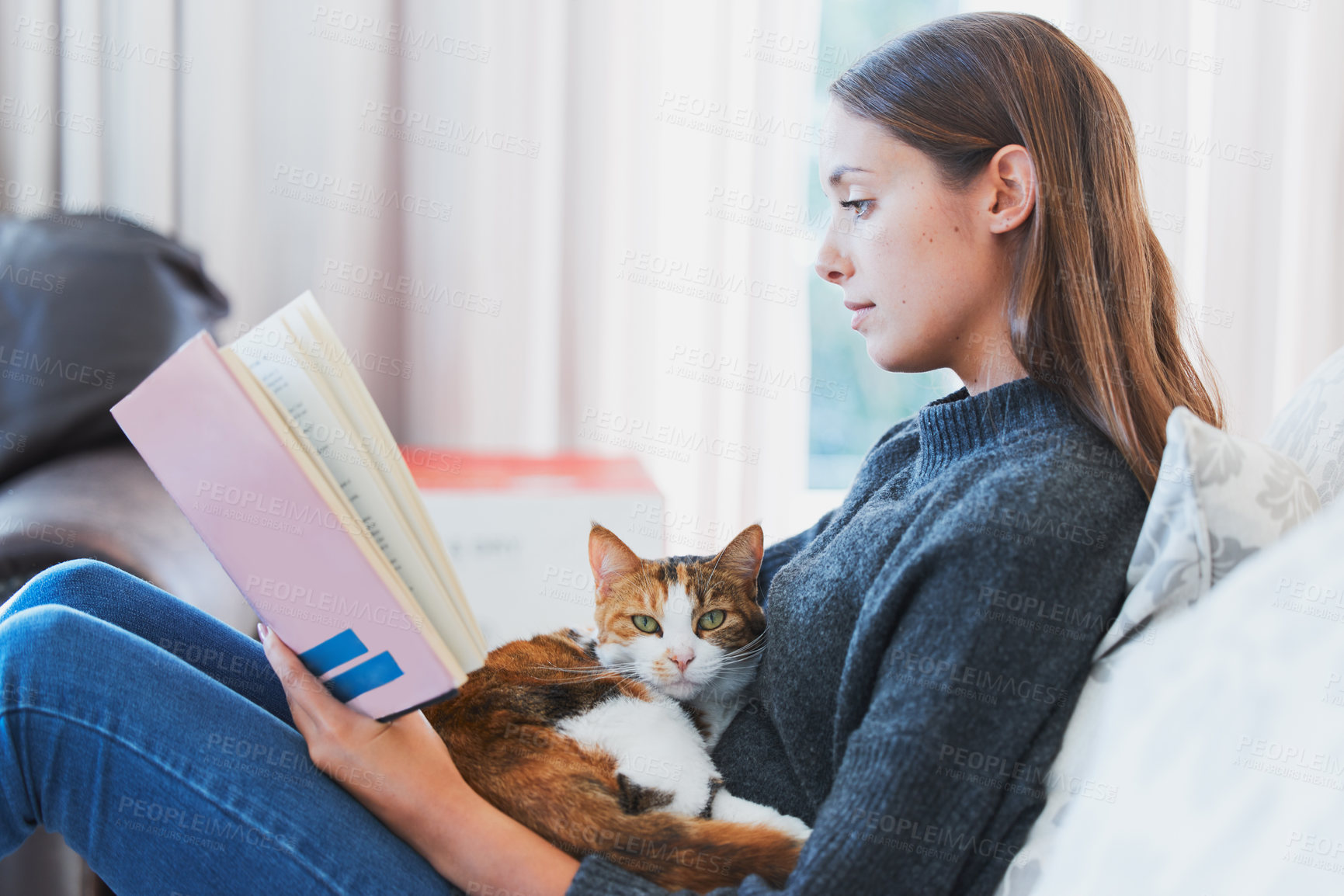 Buy stock photo Shot of a young woman reading a book with a cat on her lap at home