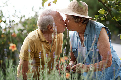 Buy stock photo Shot of an elderly couple sharing a kiss in their backyard