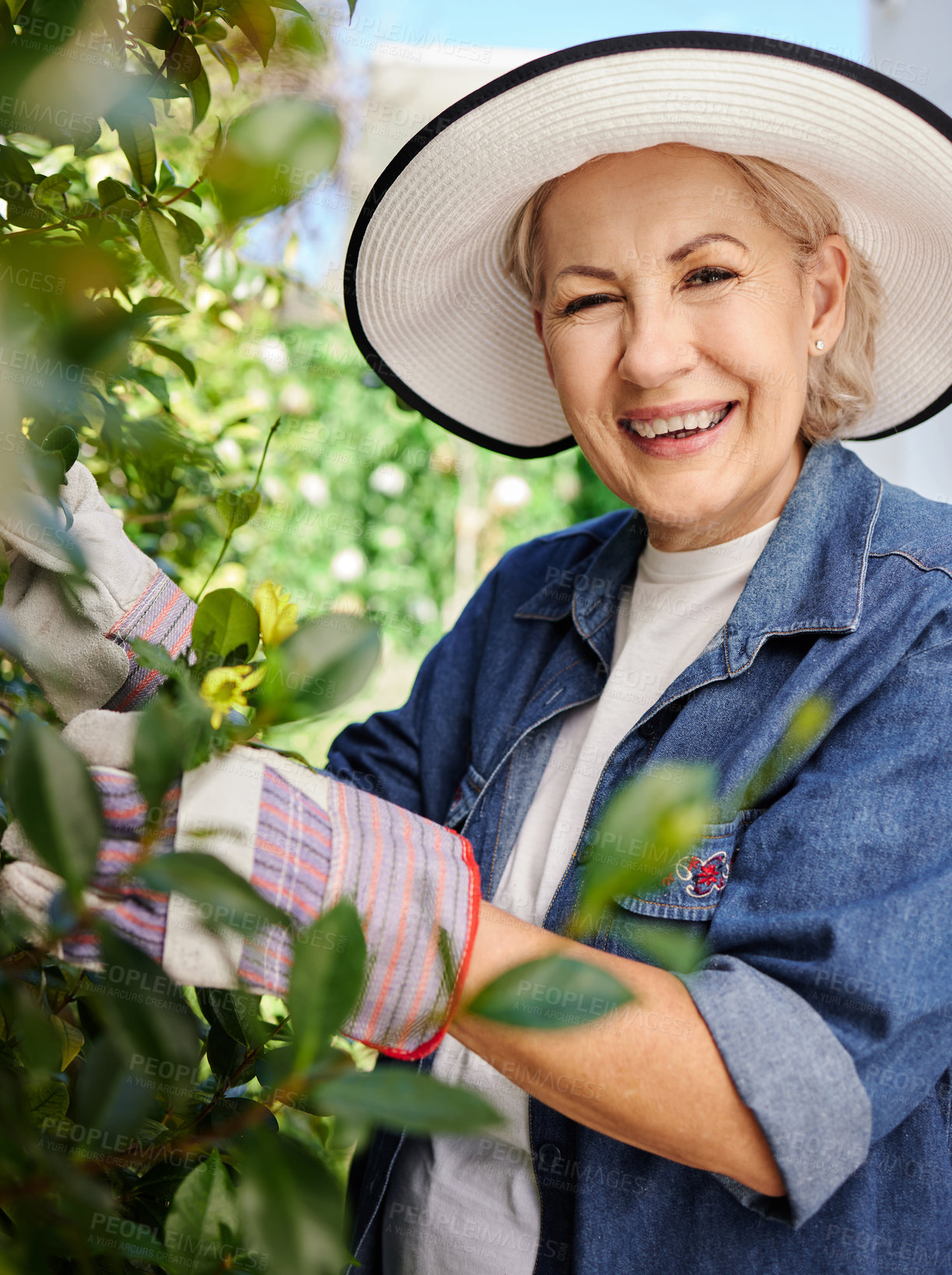 Buy stock photo Happy and mature woman gardening and flower inspection in nature for eco friendly hobby in retirement. Senior, female person and smile with plant checkup in backyard for sustainable agriculture