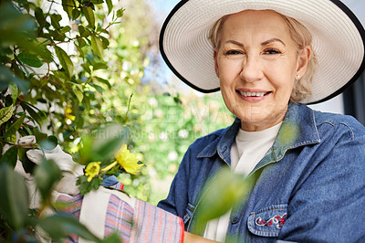 Buy stock photo Happy and mature woman gardening and flower inspection for eco friendly hobby in retirement. Senior, female person and smile with plant or leaves for farming and sustainable agriculture in backyard