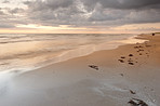 Beautiful beach and ocean