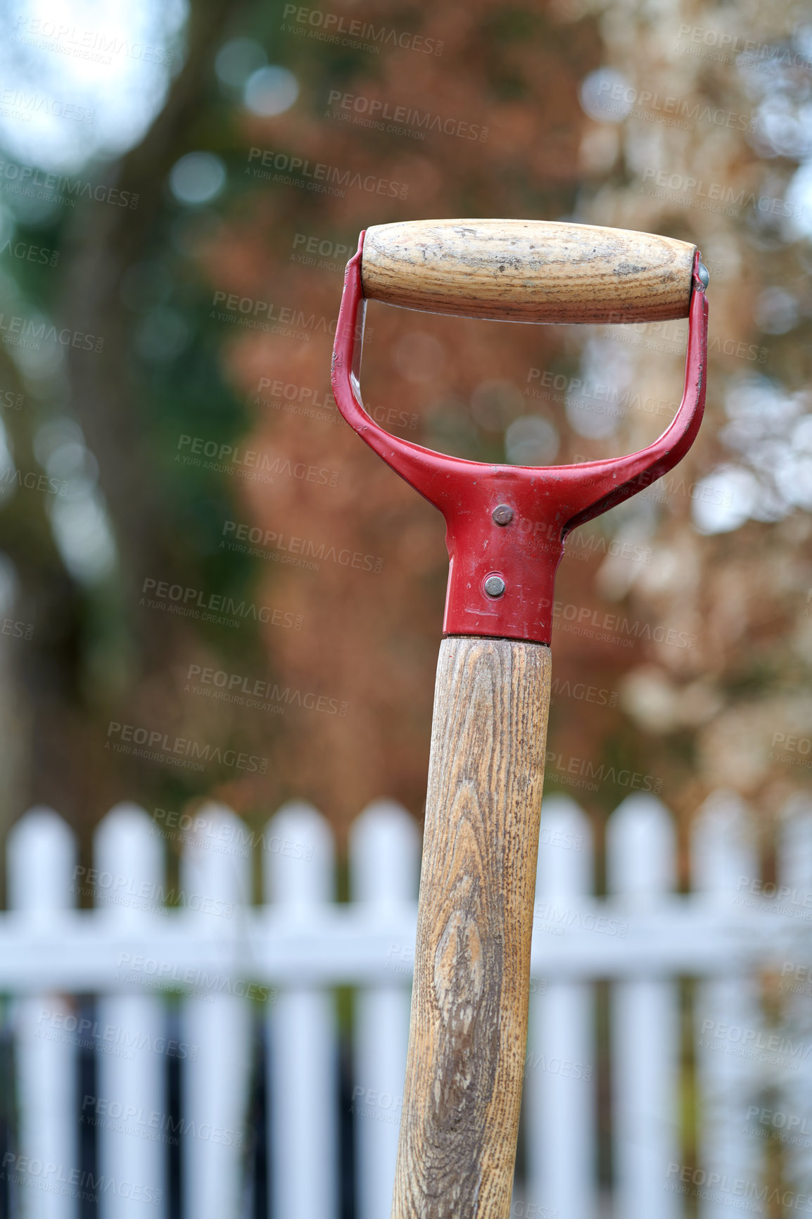 Buy stock photo Gardening tool, an old wooden shovel standing in dirt outside in a backyard with blurred white picket fence in autumn background. Closeup handle of garden equipment isolated with bokeh copy space