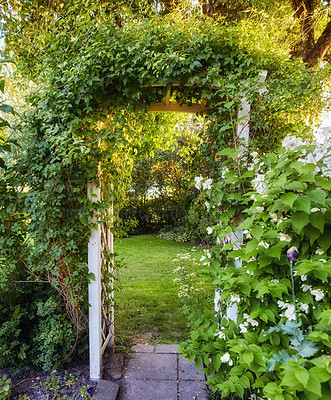 Buy stock photo A series of beautiful garden photos