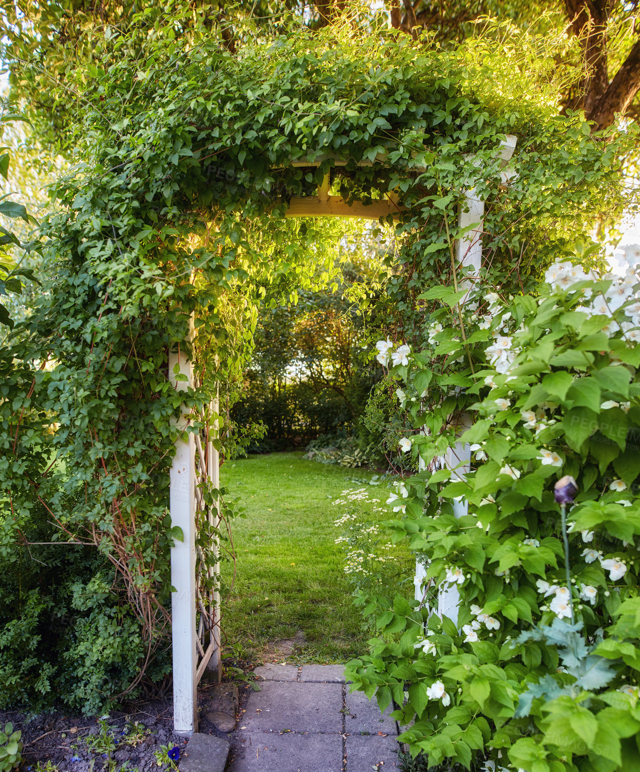 Buy stock photo A series of beautiful garden photos