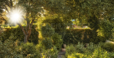 Buy stock photo A series of beautiful garden photos