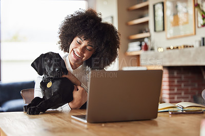 Buy stock photo Home, dog and woman with a laptop, smile and bonding with connection, playing and love in the lounge. Female person, pet and girl with a pc, technology and social media with love, happy and animal