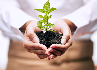 Buy stock photo Shot of an unrecognizable businessperson holding a plant growing out of soil