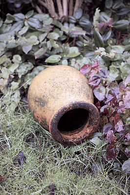 Buy stock photo Dirty flowerpot ready to be refurbished. Decorative ceramic pot lying on uncut green grass and leafy plants in a home garden outdoors. Rustic outdoor decoration neglected and weathered in a yard.