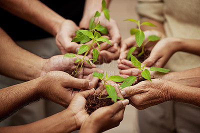 Buy stock photo Hands, plants and growth with people or team, business and eco friendly for earth day or collaboration support. Investment, environment and community service, nurture or agro for sustainability