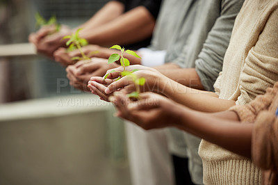 Buy stock photo Closeup shot of a group of unrecognisable people holding plants growing in soil