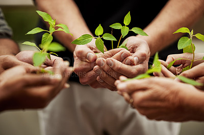 Buy stock photo Hands, plants and grow with people or team, business and eco friendly for earth day and collaboration for growth. Investment, environment and community service, nurture or agro for sustainability