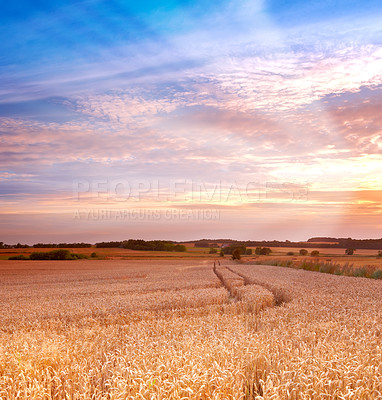 Buy stock photo A photo of Sunset at the countryside, denmark - time for harvest