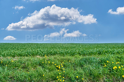 Buy stock photo Farmland in springtime