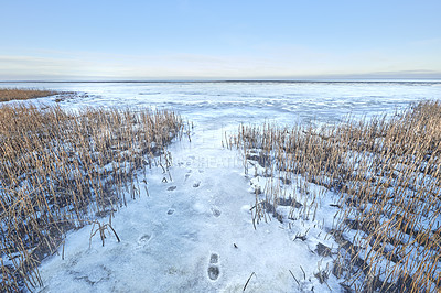 Buy stock photo Photos of Danish winter by the coast of Kattegat.