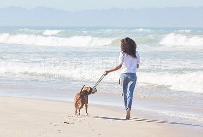 Buy stock photo Shot of a woman playing with her pit bull at the beach